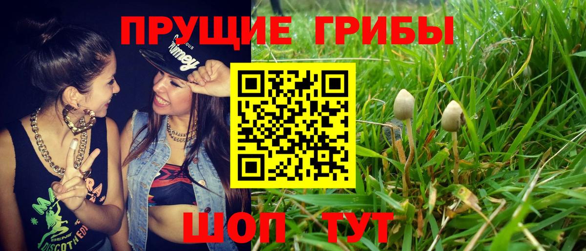 Пушкино  Псилоцибиновые грибы Cubensis  Псилоцибиновые грибы MAGIC MUSHROOMS  Вход с VPN 